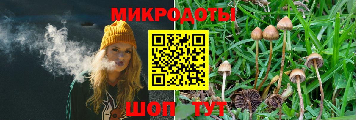 Псилоцибиновые грибы Psilocybe  Вход с VPN  Урай 