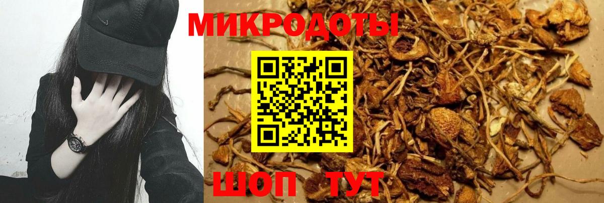Псилоцибиновые грибы MAGIC MUSHROOMS Урай